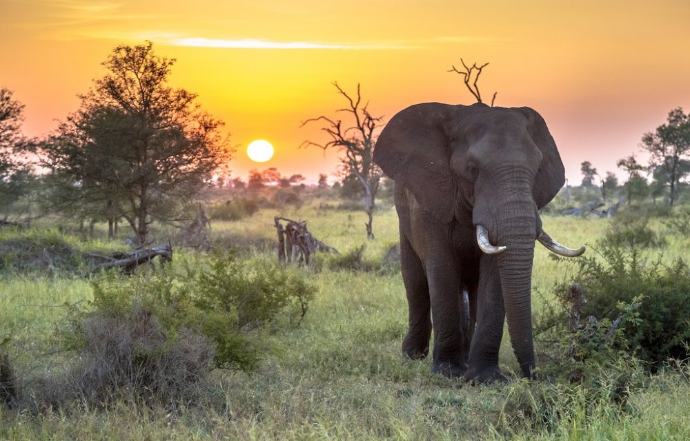 Kruger National Park
